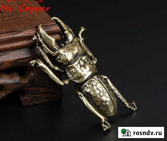 Коллекционный жук Гатчина - изображение 1