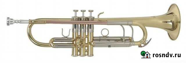 Труба Roy Benson TR-403 Bb Москва - изображение 1