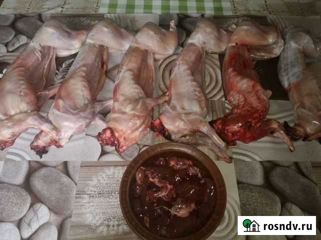 Мясо кролика Воронеж - изображение 1