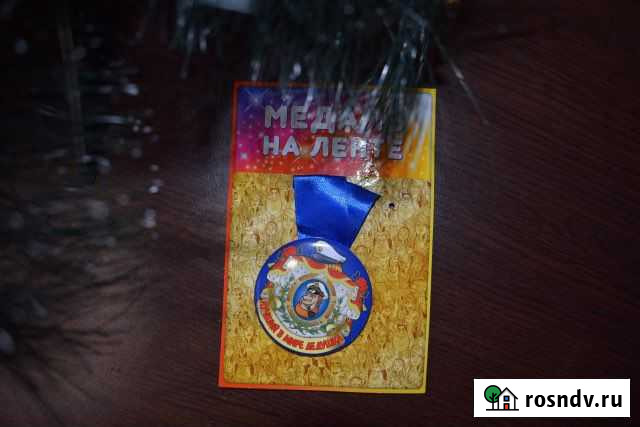 Медаль Великий Новгород - изображение 1