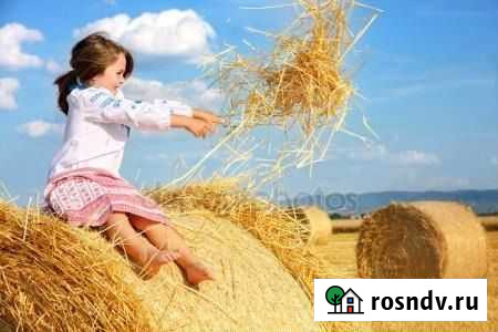 Солома Смоленск - изображение 1