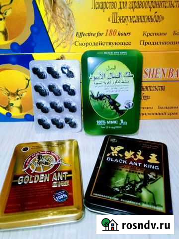 Муравьи Улан-Удэ - изображение 1