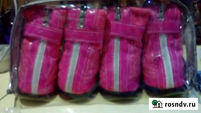 Новая Обувь для собак Дзержинск - изображение 1