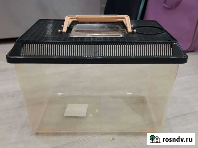 Террариум для рептилий Томск - изображение 1