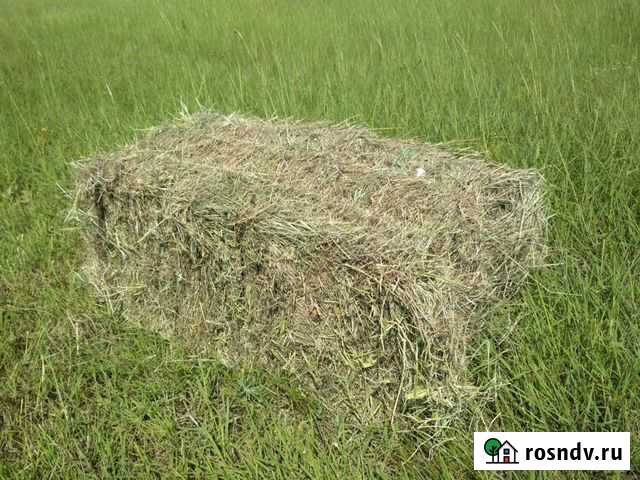 Сено в тюках Тульский - изображение 1