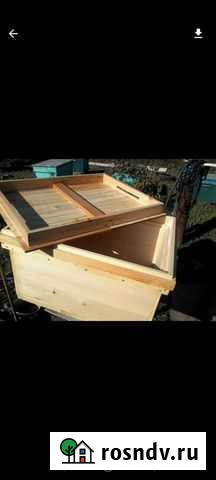 Улей Майкоп - изображение 1