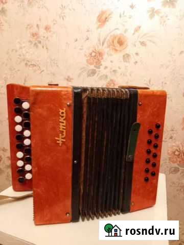Гармонь Нотка Вологда - изображение 1