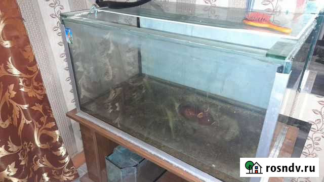 Аквариум Усолье-Сибирское - изображение 1