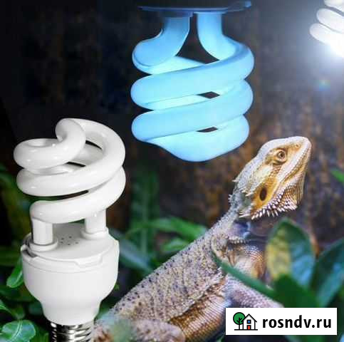 Уф лампа для террариума Томск - изображение 1