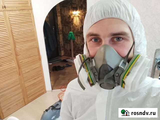 Уничтожение муравьев, тараканов, клопов Киров - изображение 1