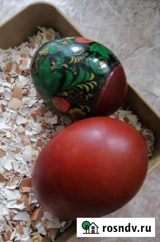 Яичная скорлупа Ярославль - изображение 1