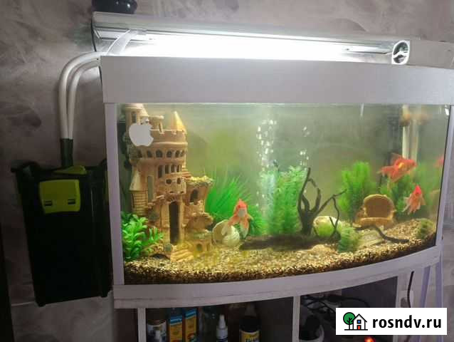 Аквариум 120 литров Пушкино - изображение 1