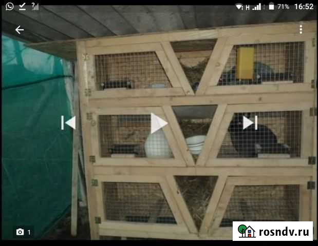 Клетки на заказ Чонтаул - изображение 1