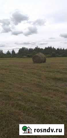 Сено Остров - изображение 1