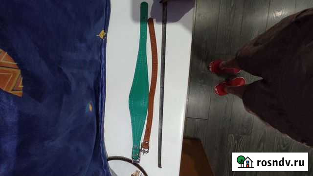 Ошейники кожанные Ялта - изображение 1