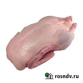 Мясо утки Саратов - изображение 1
