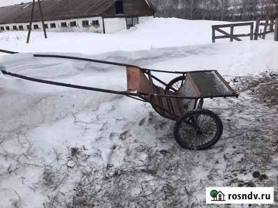 Продается рысистый экипаж для тренинга Косиха