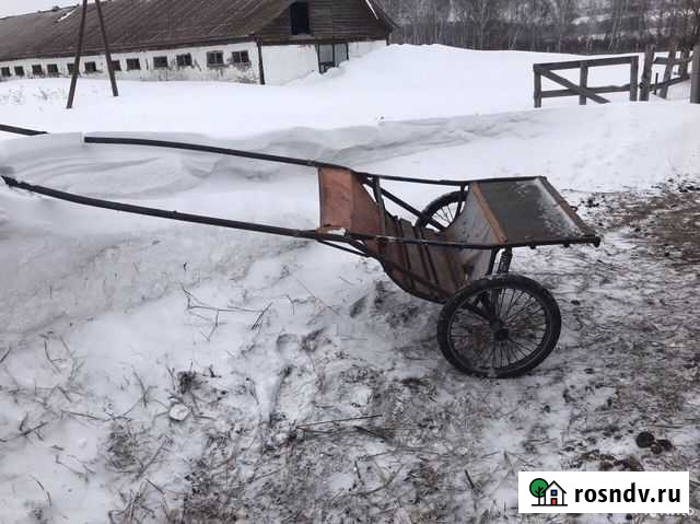 Продается рысистый экипаж для тренинга Косиха - изображение 1