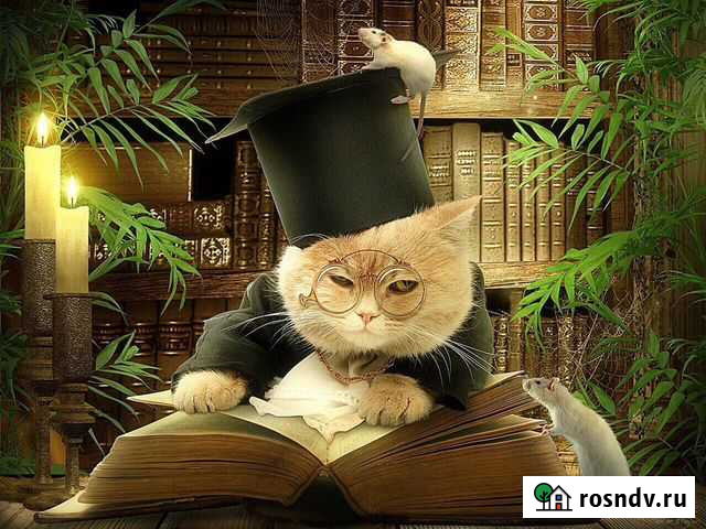 Репетитор по английскому языку Челябинск - изображение 1