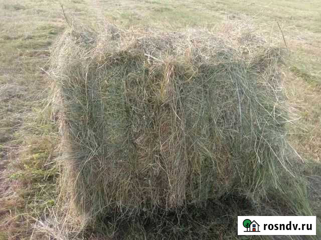 Сено в рулонах Усолье-Сибирское - изображение 1