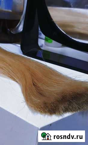 Наращивание волос на дому Сыктывкар - изображение 1