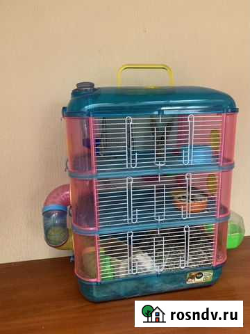 Отдам в добрые руки Писчанку Казань - изображение 1