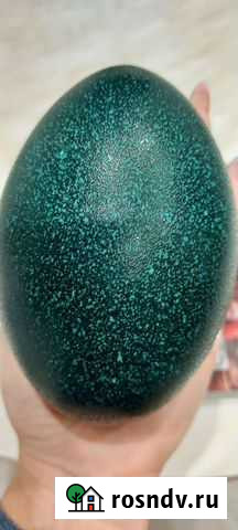 Яйца Новокузнецк - изображение 1