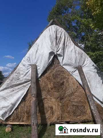 Сено Моршанск - изображение 1