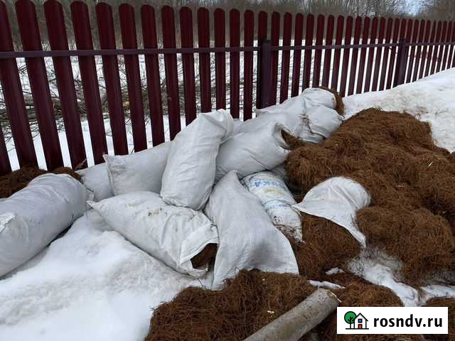 Мох Кимры - изображение 1