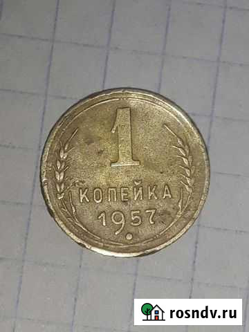 Монета СССР Россошь - изображение 1