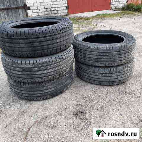 Автошины 225/55 R18 Сегежа