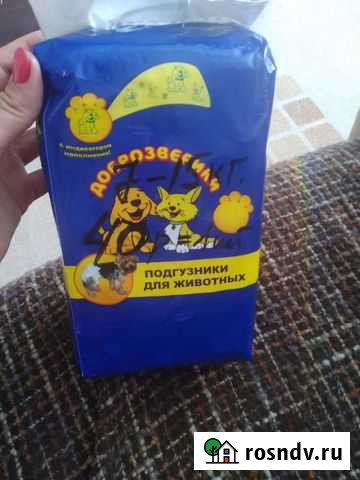 Памперсы для собак Александров - изображение 1