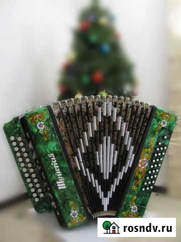 Гармонь Шуйская заказная Ми мажор новая Саров - изображение 1