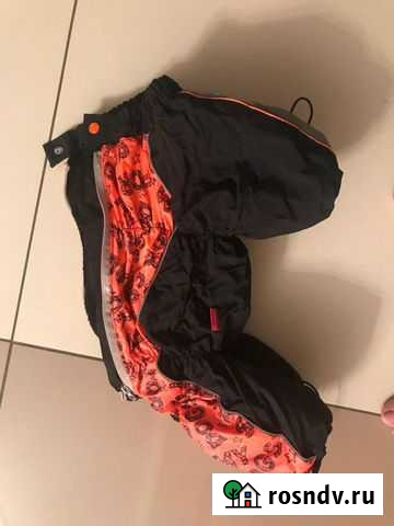 Одежда для собаки Таганрог - изображение 1