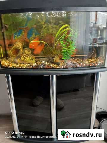 Аквариум Димитровград - изображение 1