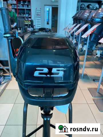 Лодочный мотор Suzuki DF2.5A Ростов-на-Дону - изображение 1