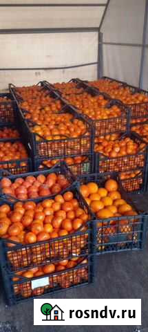 Мандарин Вознесенская - изображение 1