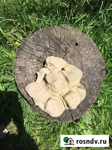 Септария Нальчик - изображение 1