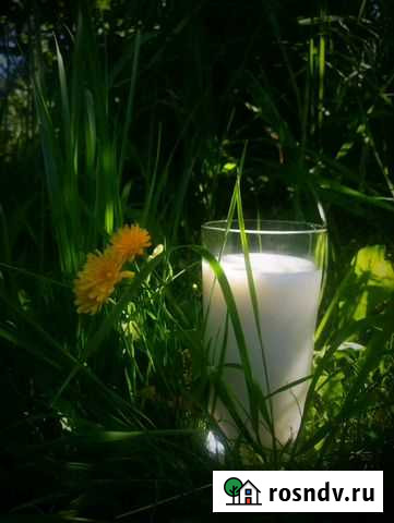 Фермерские продукты с доставкой на дом Агалатово - изображение 1