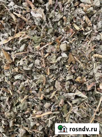 Репешок,лекарственные травы Симоненко - изображение 1