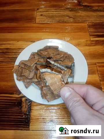 Гриб трутовик березовый Руэм - изображение 1