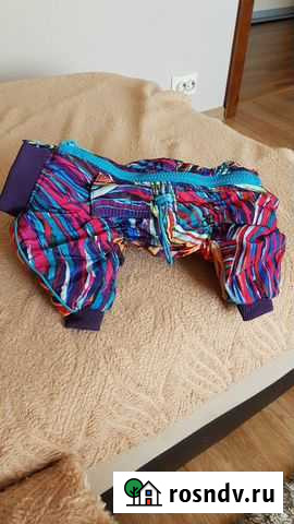 Комбинезон для собаки Междуреченск - изображение 1