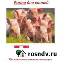 Комбикорм и добавки для комбикорма Мирный - изображение 1