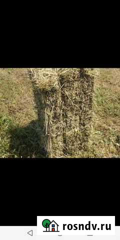 Сено Крыловская - изображение 1