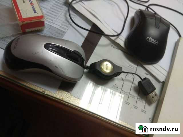 Мышь Магнитогорск - изображение 1