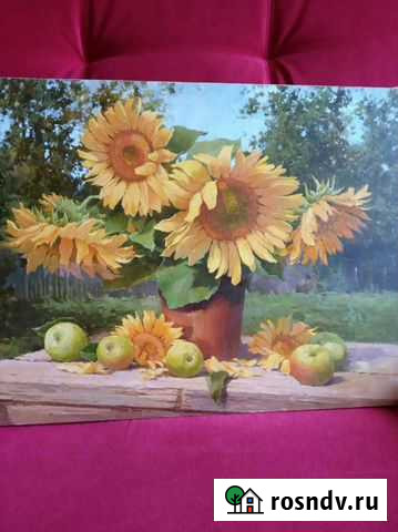 Картина маслом на холсте 50*70 подсолнухи Рязань - изображение 1