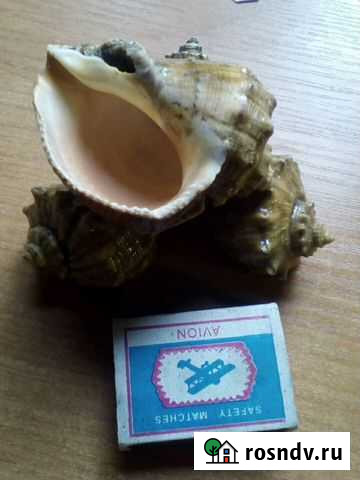 Пепельницы из СССР Псков - изображение 1