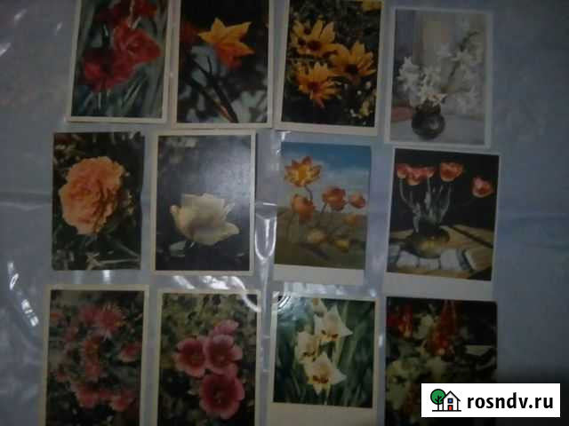 Открытки 60-х годов разные Новороссийск - изображение 1