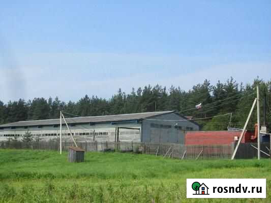 Продаётся фермерское хозяйство Нурма - изображение 1