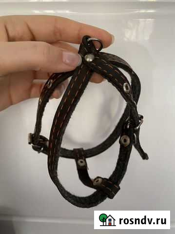 Шлейка для маленькой собаки Благовещенск - изображение 1